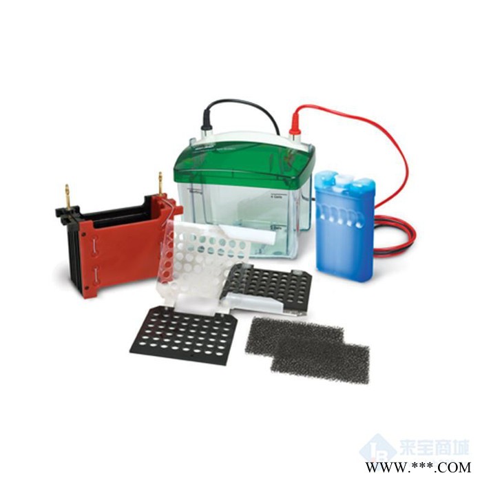 Biorad/美国伯乐165-8001电泳仪,电泳电源,电泳槽,水平电泳槽,电泳仪厂家图3