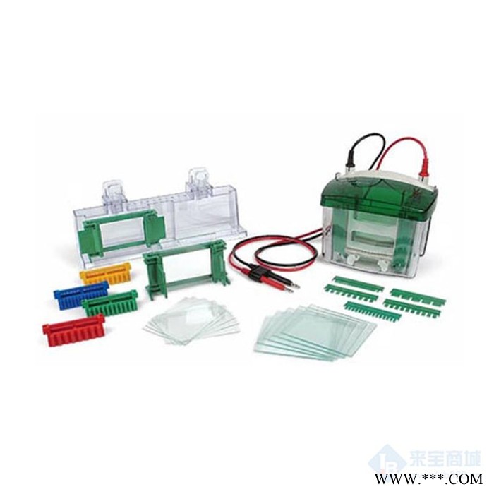 Biorad/美国伯乐165-8001电泳仪,电泳电源,电泳槽,水平电泳槽,电泳仪厂家图2