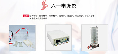 北京六一 琼脂糖水平电泳槽DYCP-31DN 电泳仪 六一电泳仪图2