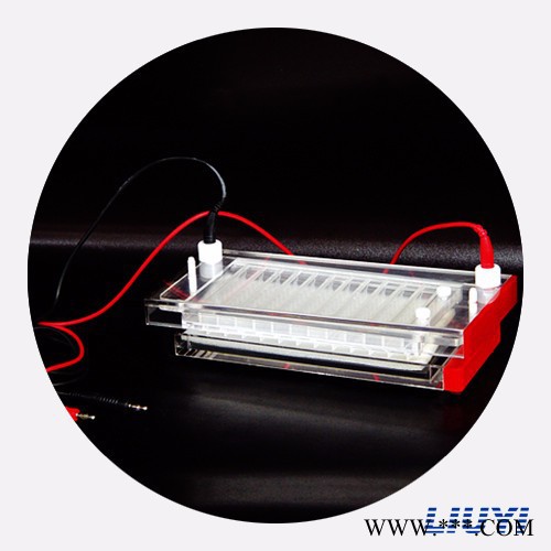 快速凝胶电泳仪 DYCP-44N型 具有12个特别的marker上样孔 电泳槽图3