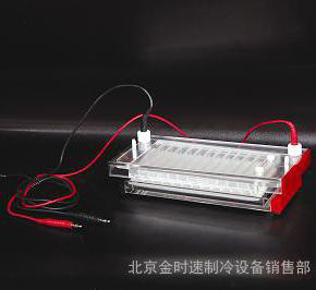 快速凝胶电泳仪 DYCP-44N型 具有12个特别的marker上样孔 电泳槽图2