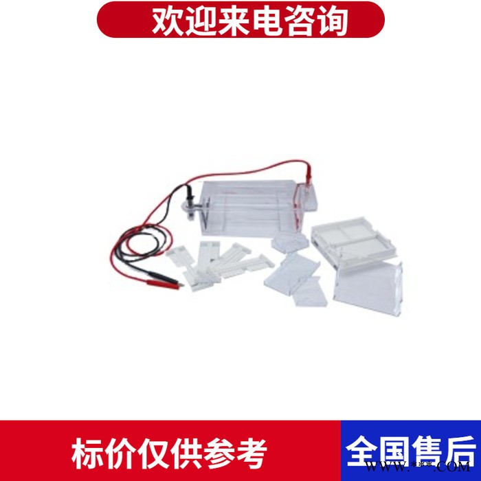 电泳仪 琼脂糖水平电泳槽 六一DYCP-31DN