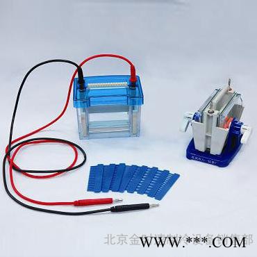 迷你双垂直电泳仪(槽) 小号DYCZ-24DN型 北京六一 蛋白凝胶电泳图2