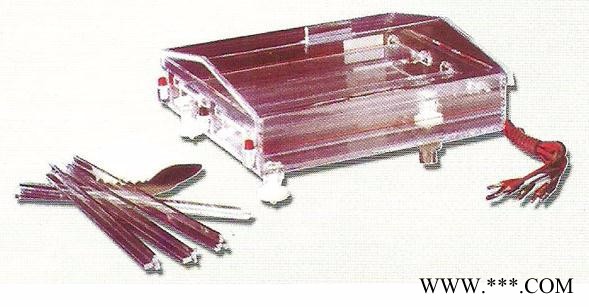 DYC型泳仪电泳槽图2