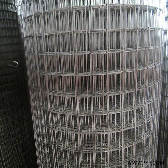 电镀电焊网 电镀电焊网 电镀电焊网现货 价格合理，图5