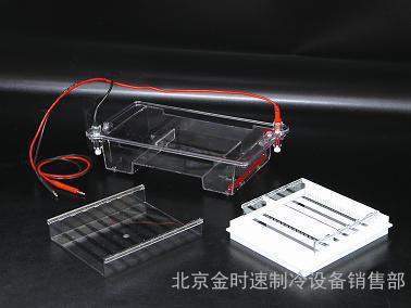 琼脂糖水平电泳仪槽(中号) DYCP-31E型 桥式设计 节省缓冲液图2