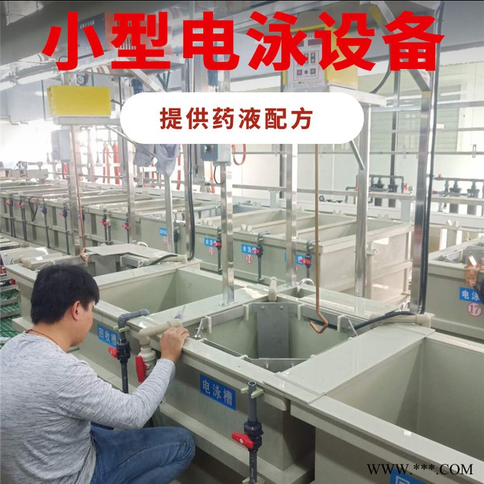 【龙辉】专业供应小型电泳设备生产线 小型电镀机 微型电镀设备厂家图2