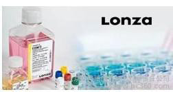 供应Lonza核酸电泳图2