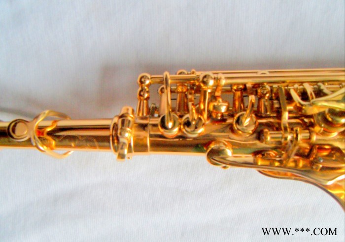 华尔斯顿电泳金2013黄铜XSS-160中音乐器萨克斯风降B调高音  新品图3