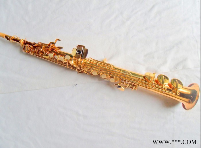 华尔斯顿电泳金2013黄铜XSS-160中音乐器萨克斯风降B调高音  新品图2