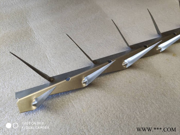 小号#海润**#热镀锌刺钉#PVC刺钉#电泳漆刺钉图2