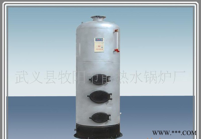 燃煤柴锅炉 电泳加温工业热水锅炉 节能环保锅炉图1