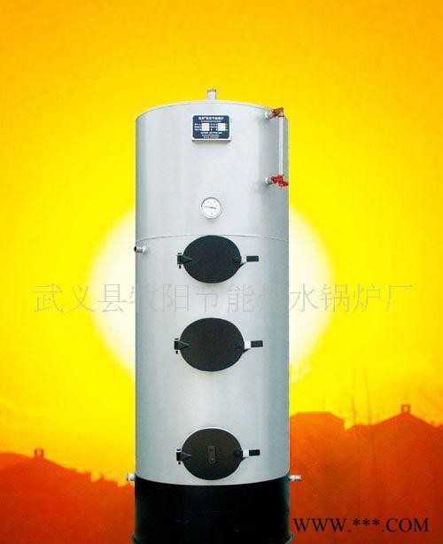 燃煤柴锅炉 电泳加温工业热水锅炉 节能环保锅炉图3