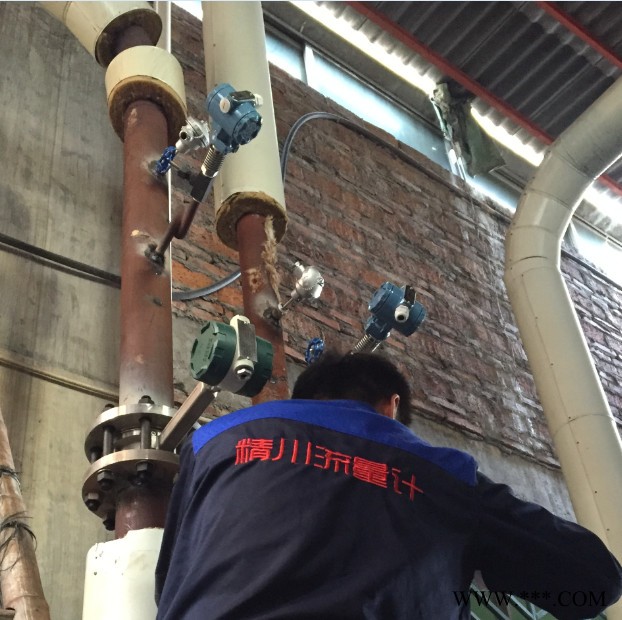 蒸汽流量计 电镀厂蒸汽流量计 蒸汽流量计原理图3