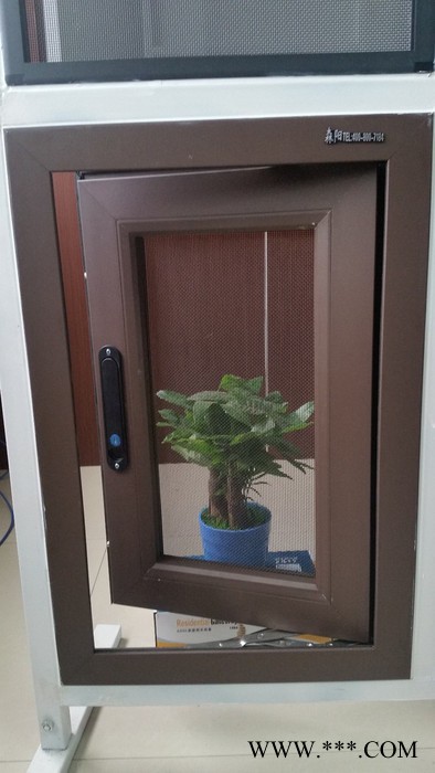 森阳 电泳喷涂不锈钢 框中框纱窗 金刚网纱门 兰州金刚网纱窗图8