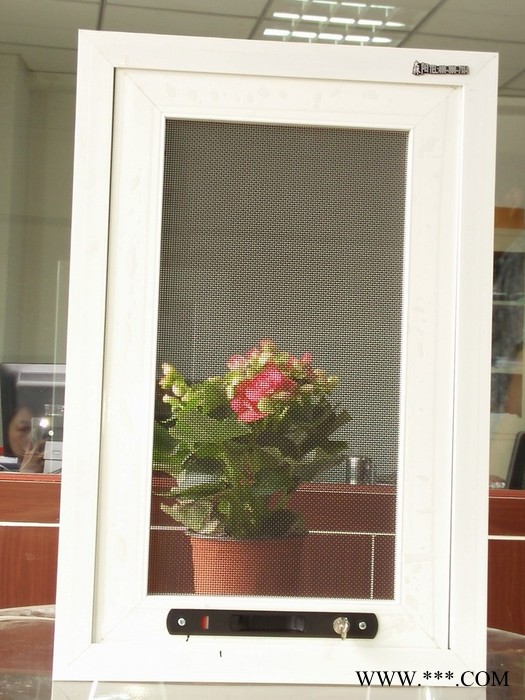 森阳 电泳喷涂不锈钢 框中框纱窗 金刚网纱门 兰州金刚网纱窗图5