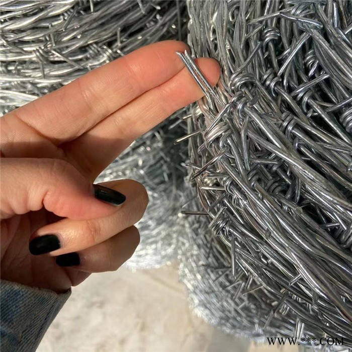 鑫普润 防护刺绳 刺绳围栏 电镀锌刺绳 防盗刺网现货供应质量有保证图5