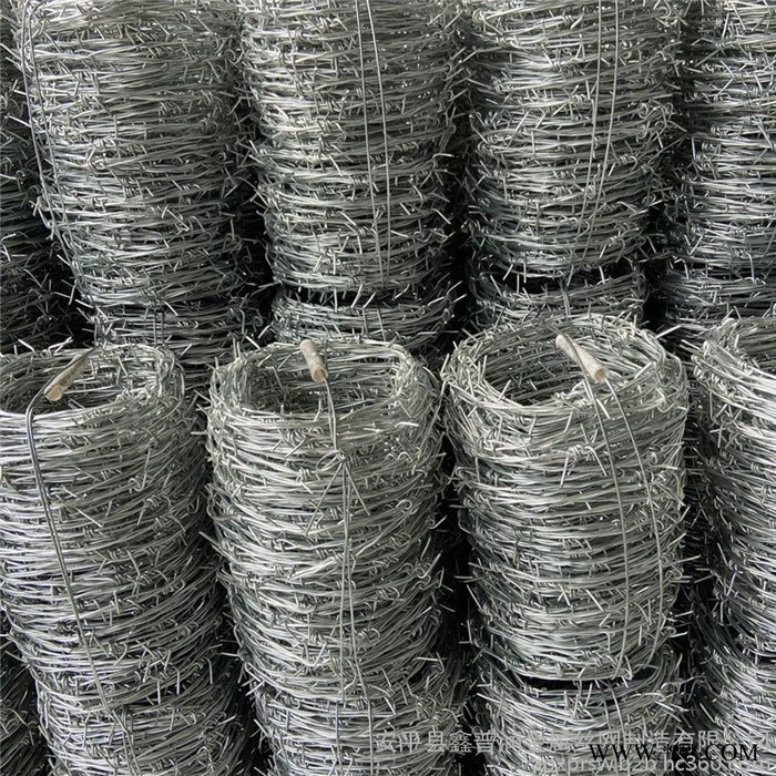 鑫普润 电镀刺绳 铁丝刺绳 刺绳护网 刺绳刺丝现货供应大量备货图2