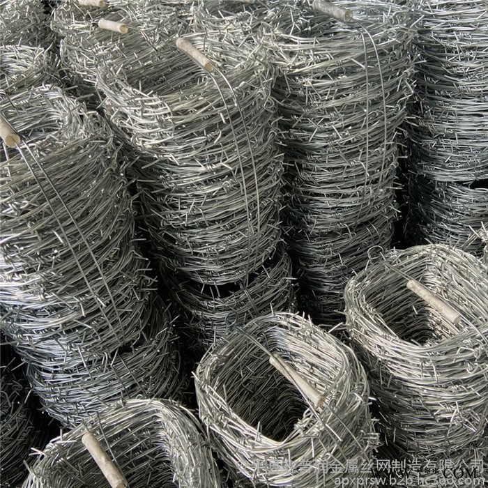 鑫普润 电镀刺绳 铁丝刺绳 刺绳护网 刺绳刺丝现货供应大量备货图5