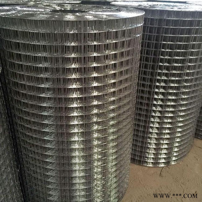 亿岑直销   电镀锌电焊网   抹墙镀锌钢丝网   内外墙防裂网图4