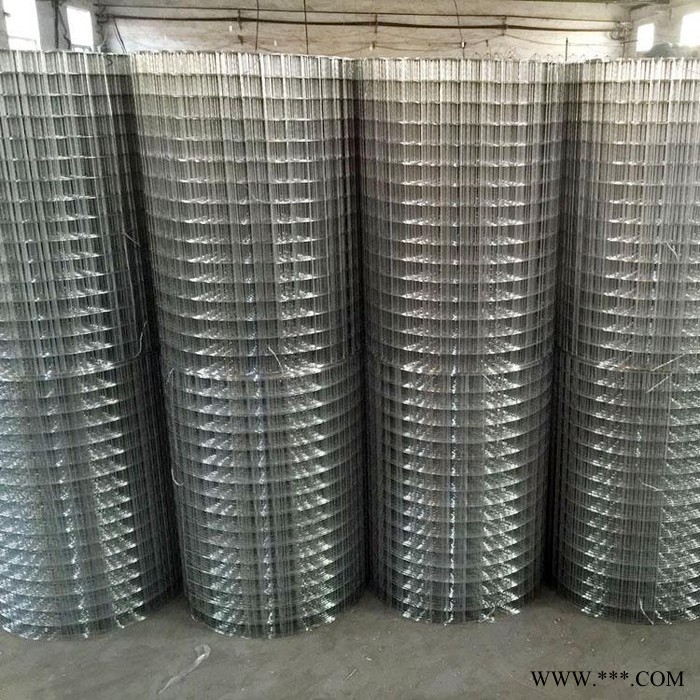 亿岑直销   电镀锌电焊网   抹墙镀锌钢丝网   内外墙防裂网图2