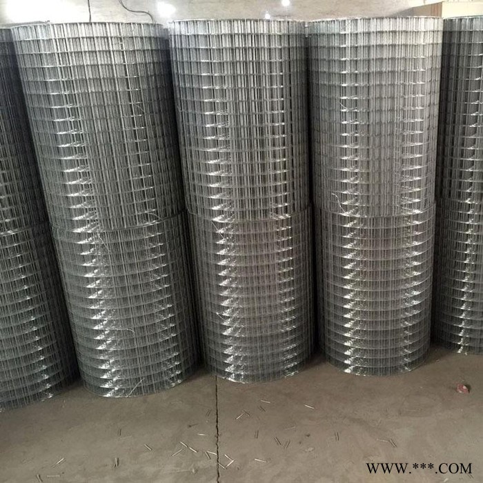 亿岑直销   电镀锌电焊网   抹墙镀锌钢丝网   内外墙防裂网图3