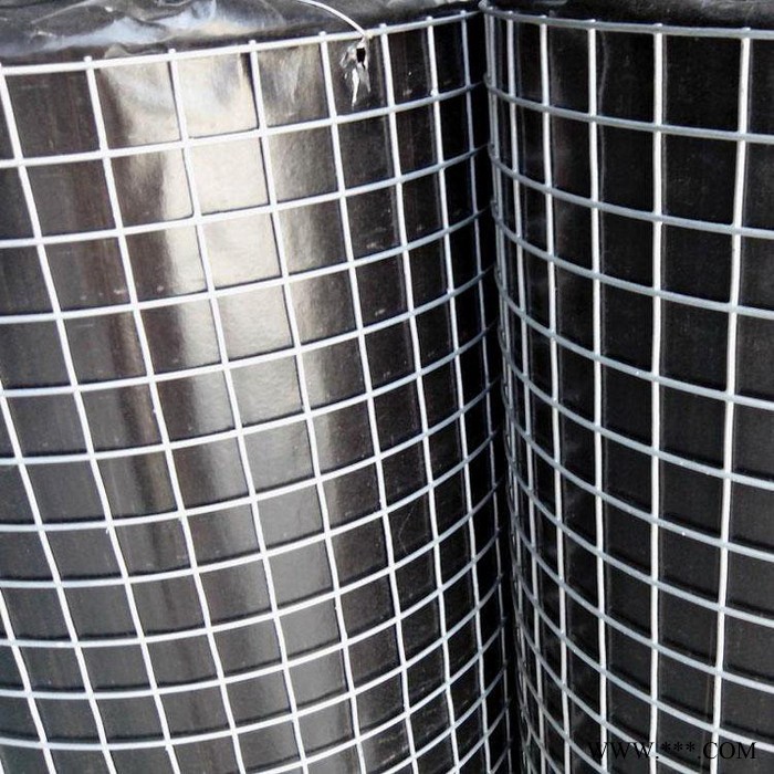 亿岑   批发  **  镀锌电焊网  电镀锌电焊钢丝网  热镀锌电焊铁丝网图2