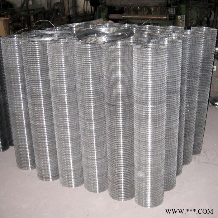 亿岑   批发  **  镀锌电焊网  电镀锌电焊钢丝网  热镀锌电焊铁丝网图4