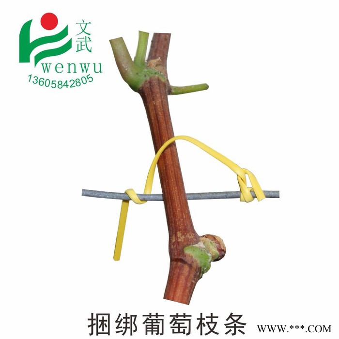 文武葡萄架绑枝电镀锌铁丝包塑园林绑扎带枝丝绑葡萄枝条用的扎丝图4
