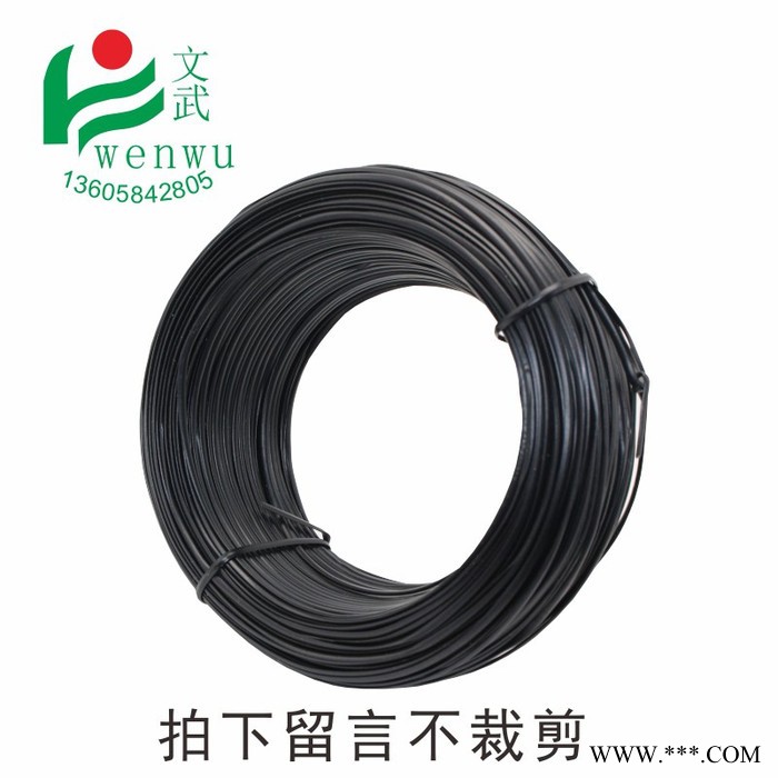 文武葡萄架绑枝电镀锌铁丝包塑园林绑扎带枝丝绑葡萄枝条用的扎丝图2