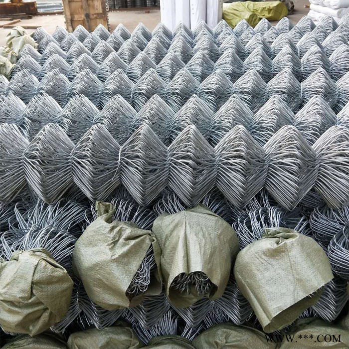 中煌镀锌丝 工地电镀锌铁丝 涂塑镀锌丝 截断丝 大棚用镀锌丝 量大从优图4