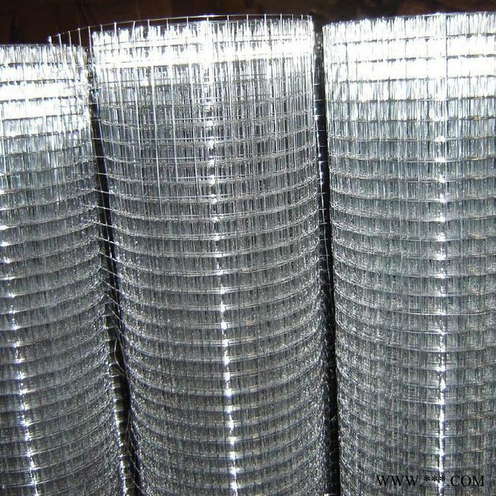 宏乐 电镀锌电焊网　焊前电镀锌 不锈钢电焊网　改拔丝电焊网图3