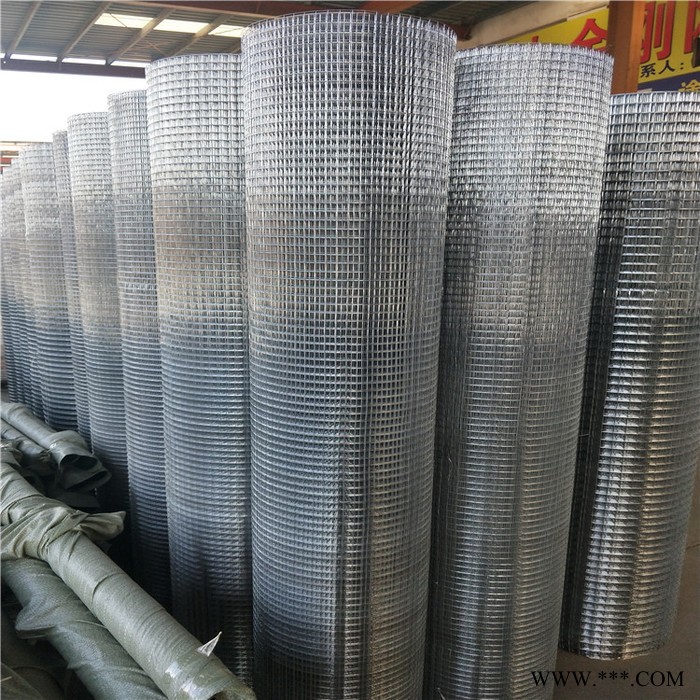 电焊网片 电镀锌电焊网价格 鑫耐电焊网 镀锌电焊网里有 电焊网镀锌价格图5