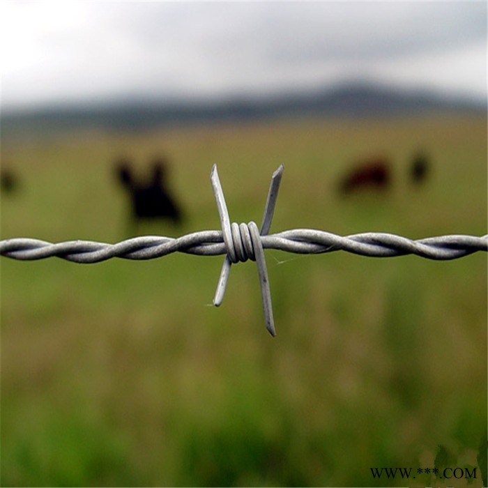 世腾 防护网厂家  防盗防护刀片刺绳 正反拧铁丝刺绳 热镀锌刺绳滚笼 监狱机场刺绳防护网 低碳铁丝护栏网图6