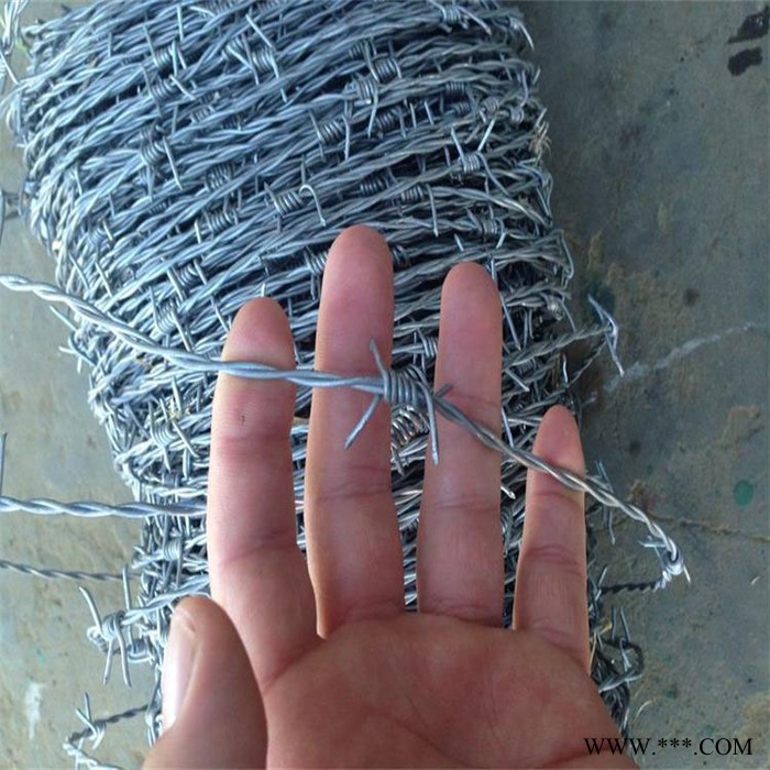 世腾 防护网厂家  防盗防护刀片刺绳 正反拧铁丝刺绳 热镀锌刺绳滚笼 监狱机场刺绳防护网 低碳铁丝护栏网图4