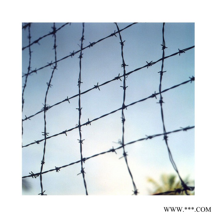 世腾 防护网厂家  防盗防护刀片刺绳 正反拧铁丝刺绳 热镀锌刺绳滚笼 监狱机场刺绳防护网 低碳铁丝护栏网图2