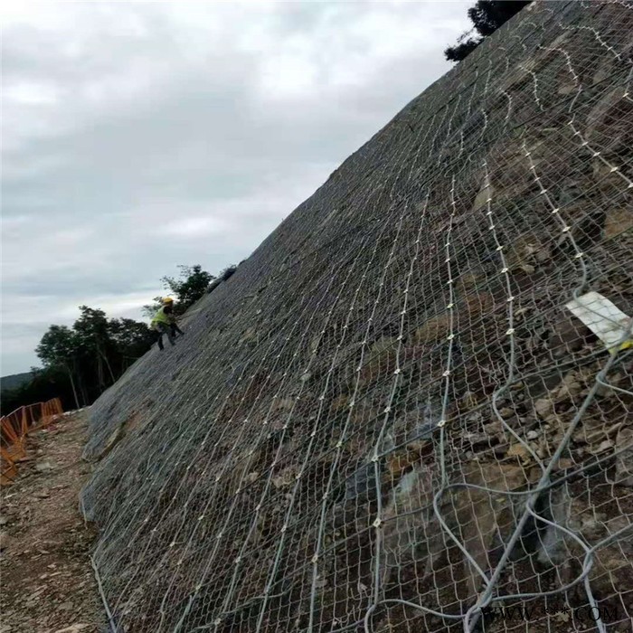 边坡金属护坡网  电镀锌钛克网  滑坡治理专用网 批发现货 继乾图2