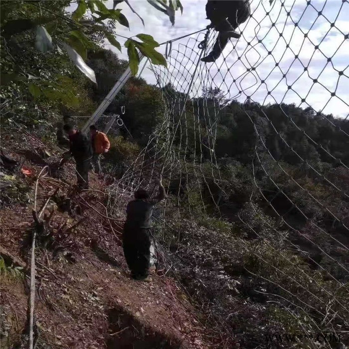 边坡金属护坡网  电镀锌钛克网  滑坡治理专用网 批发现货 继乾图7