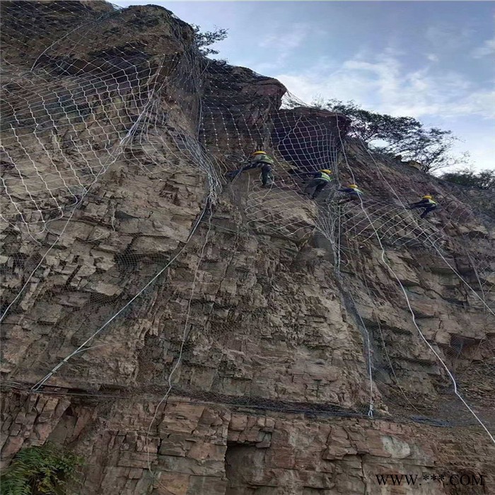 边坡金属护坡网  电镀锌钛克网  滑坡治理专用网 批发现货 继乾图4