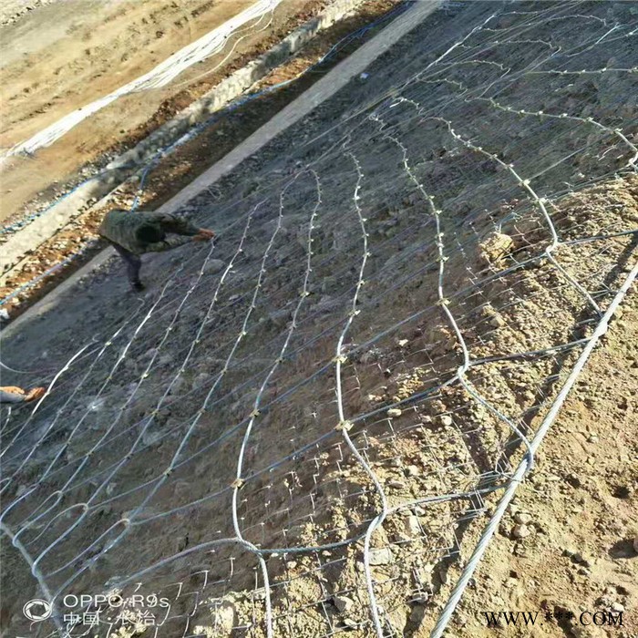 边坡金属护坡网  电镀锌钛克网  滑坡治理专用网 批发现货 继乾图8