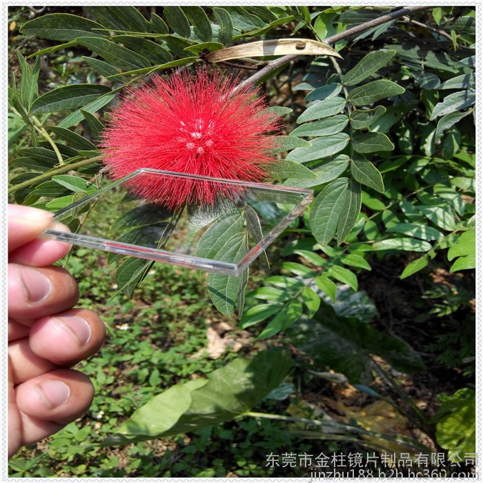 金柱厂家生产 亚克力镜片电镀 有机玻璃塑料镜片亚克力镜片定做定制图3