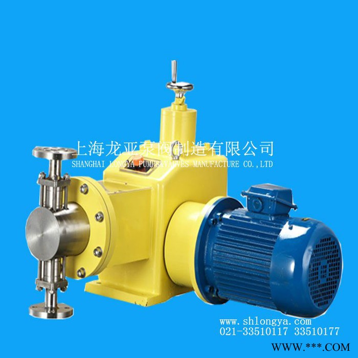 供应上海2J-D-2680/0.8电镀液双泵头计量泵 HCLSUS304计量泵