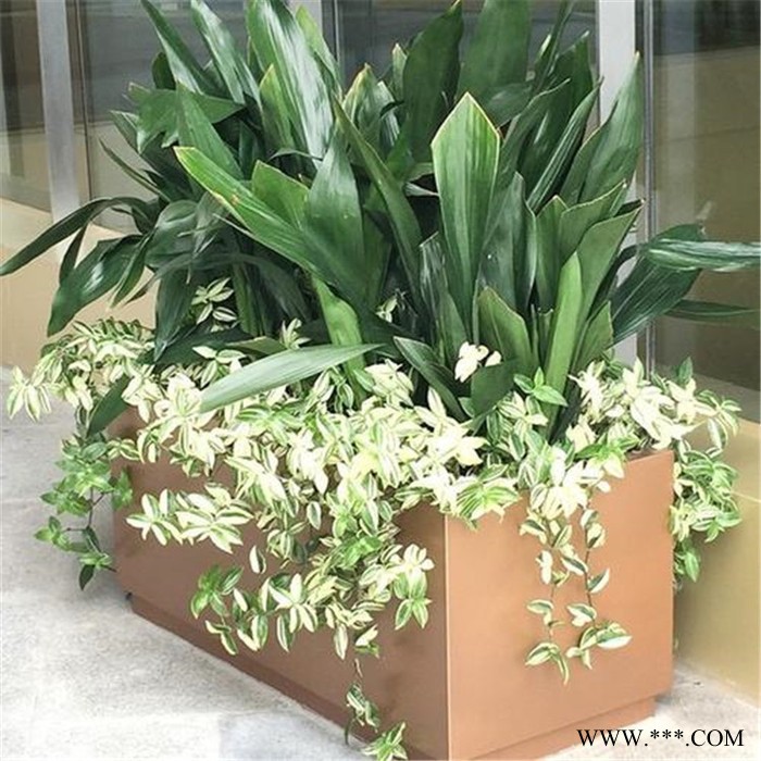 不锈钢花箱商场组合花盆 定制组合花钵不锈钢电镀花盆厂家图4