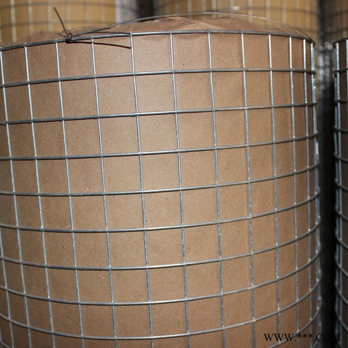 涂塑电焊网 不锈钢电焊网 电镀锌电焊网 抹墙电焊网图5