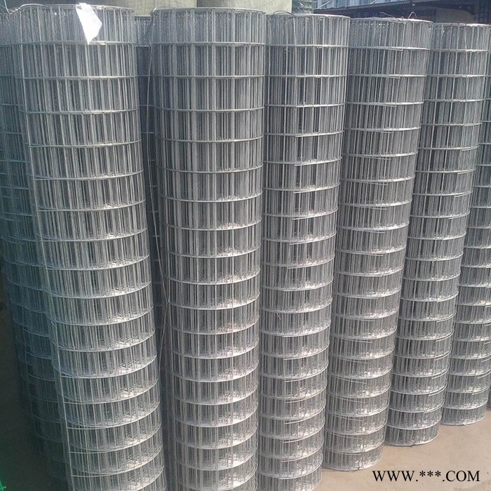 涂塑电焊网 不锈钢电焊网 电镀锌电焊网 抹墙电焊网图6