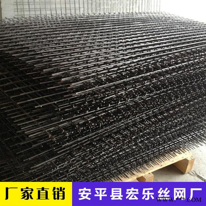 黑丝电焊网 电镀锌电焊网 热镀锌电焊网 pvc包塑电焊网图2