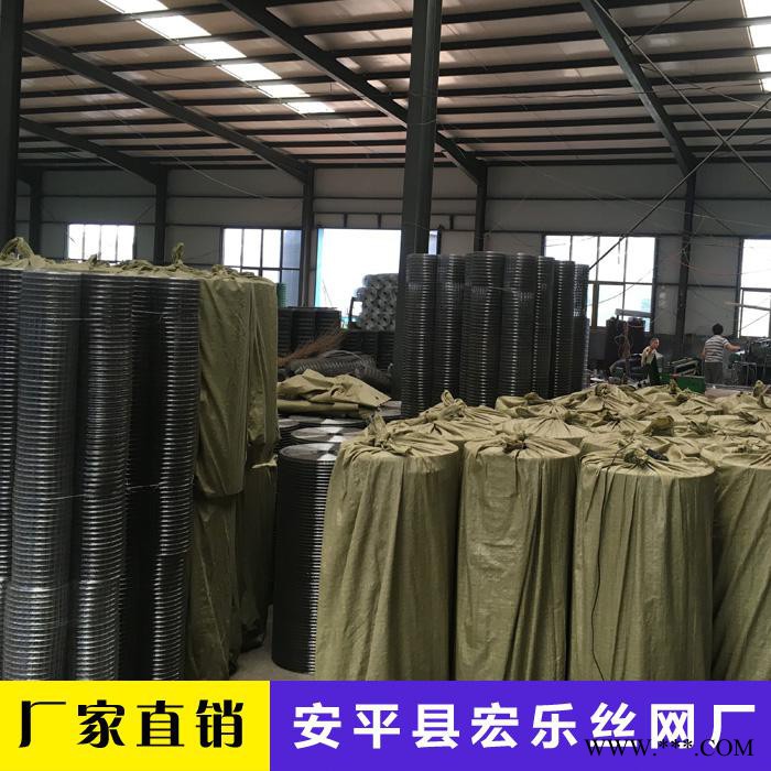 黑丝电焊网 电镀锌电焊网 热镀锌电焊网 pvc包塑电焊网图3