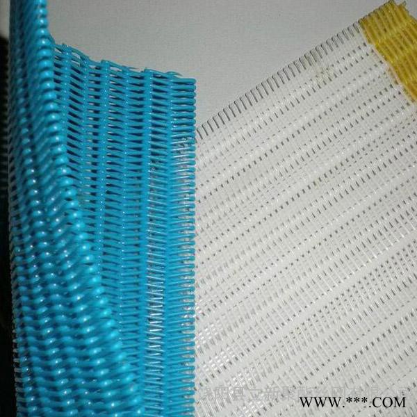 生产定制 塑料脱水网 聚酯材质网带 电镀厂脱硫网  高密度过滤网 质量保证图4