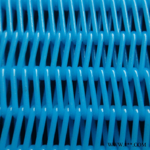 生产定制 塑料脱水网 聚酯材质网带 电镀厂脱硫网  高密度过滤网 质量保证图3