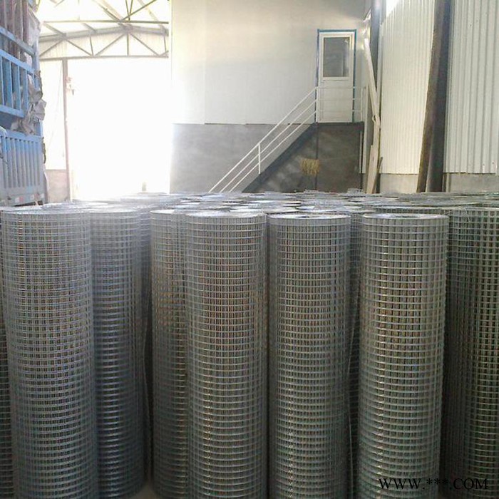 瀚海 直销电镀锌电焊网 抹墙镀锌钢丝网 内外墙防裂网图2